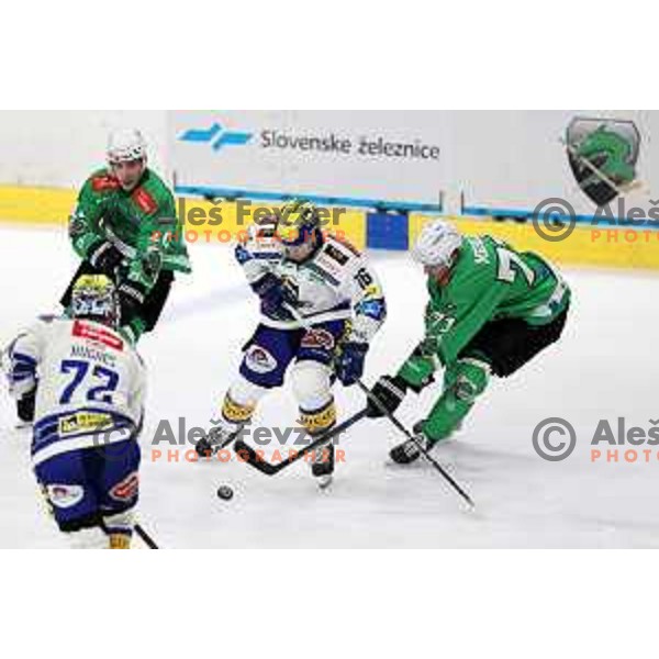 In action during IceHL match between SZ Olimpija and VSV in Tivoli Hall, Ljubljana, Slovenia on October 13, 2023