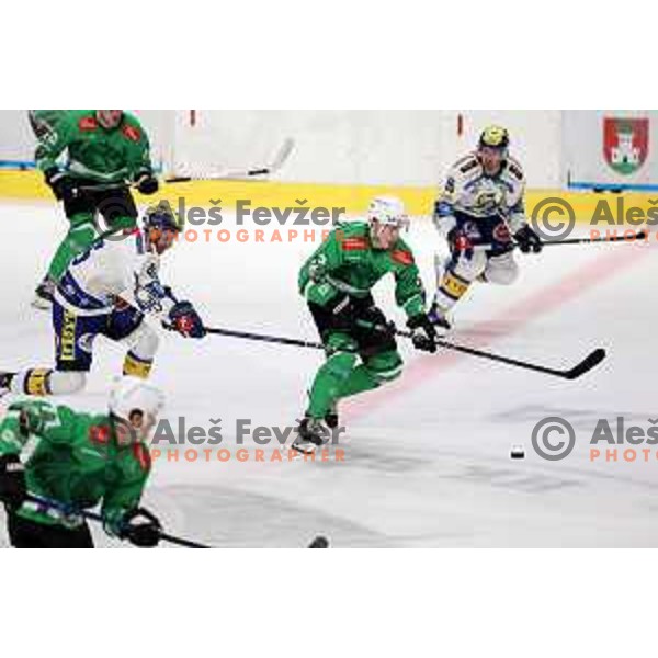 In action during IceHL match between SZ Olimpija and VSV in Tivoli Hall, Ljubljana, Slovenia on October 13, 2023