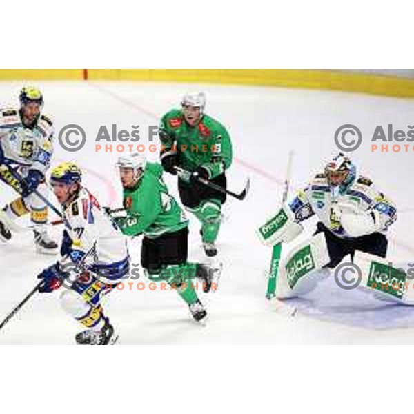 In action during IceHL match between SZ Olimpija and VSV in Tivoli Hall, Ljubljana, Slovenia on October 13, 2023