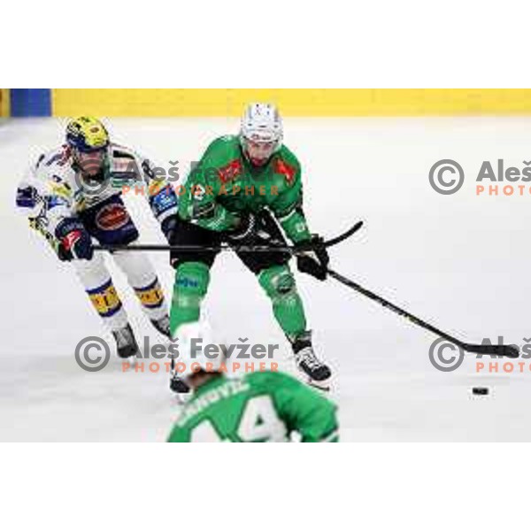 In action during IceHL match between SZ Olimpija and VSV in Tivoli Hall, Ljubljana, Slovenia on October 13, 2023