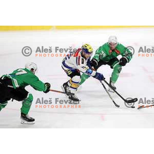 In action during IceHL match between SZ Olimpija and VSV in Tivoli Hall, Ljubljana, Slovenia on October 13, 2023