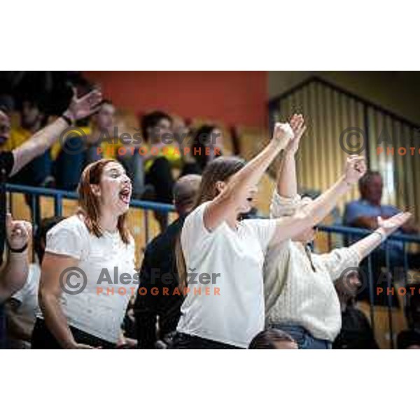 Gorenje Velenje supporters during 1.NLB league handball match between Celje Pivovarna Lasko and Gorenje Velenje in Dvorana Zlatorog, Celje, Slovenia on October 14, 2023. Photo: Jure Banfi