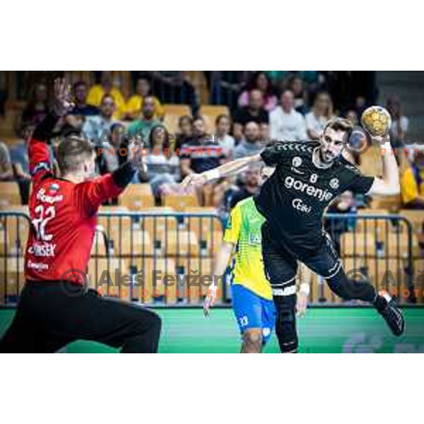 Ibrahim Haseljic in action during 1.NLB league handball match between Celje Pivovarna Lasko and Gorenje Velenje in Dvorana Zlatorog, Celje, Slovenia on October 14, 2023. Photo: Jure Banfi