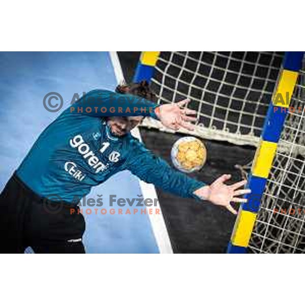 Matevz Skok in action during 1.NLB league handball match between Celje Pivovarna Lasko and Gorenje Velenje in Dvorana Zlatorog, Celje, Slovenia on October 14, 2023. Photo: Jure Banfi