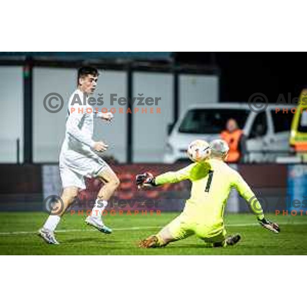 Svit Sešlar scores goal during 2025 UEFA European U21 Championship qualifications football match between Slovenia and Austria in Fazanerija, Murska Sobota, Slovenia on October 17, 2023. Photo: Jure Banfi