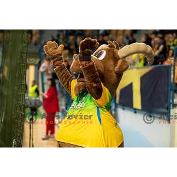 in action during EHF Champions League handball match between Celje Pivovarna Lasko and Barcelona handball in Zlatorog Arena, Celje, Slovenia on October 18, 2023.