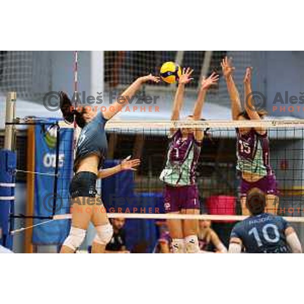 Masa Pucelj in action during Sportklub 1A DOL league volleyball match between Calcit Volley and Nova KBM Branik in Kamnik, Slovenia on October 20, 2023