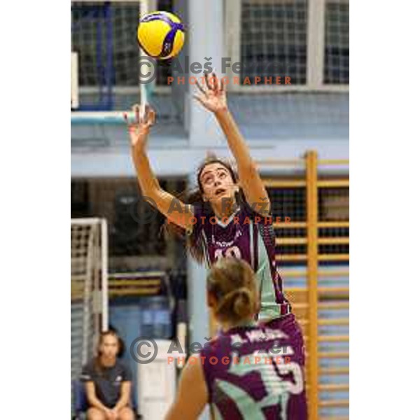 in action during Sportklub 1A DOL league volleyball match between Calcit Volley and Nova KBM Branik in Kamnik, Slovenia on October 20, 2023