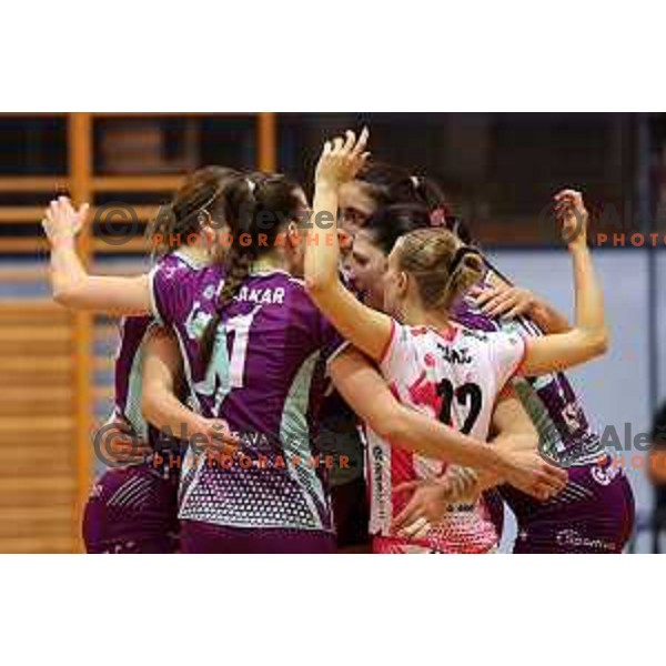 in action during Sportklub 1A DOL league volleyball match between Calcit Volley and Nova KBM Branik in Kamnik, Slovenia on October 20, 2023