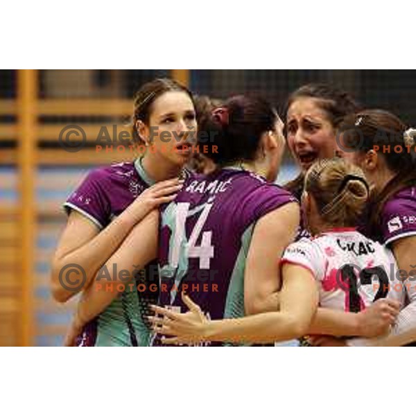 in action during Sportklub 1A DOL league volleyball match between Calcit Volley and Nova KBM Branik in Kamnik, Slovenia on October 20, 2023