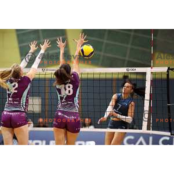 in action during Sportklub 1A DOL league volleyball match between Calcit Volley and Nova KBM Branik in Kamnik, Slovenia on October 20, 2023