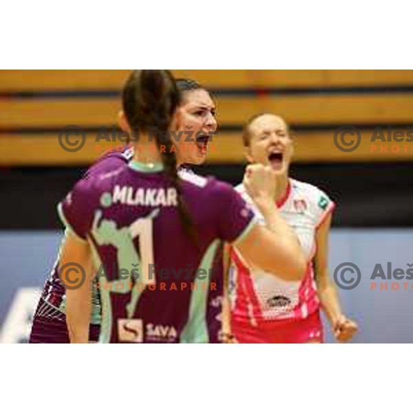 in action during Sportklub 1A DOL league volleyball match between Calcit Volley and Nova KBM Branik in Kamnik, Slovenia on October 20, 2023