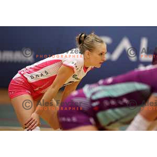 in action during Sportklub 1A DOL league volleyball match between Calcit Volley and Nova KBM Branik in Kamnik, Slovenia on October 20, 2023