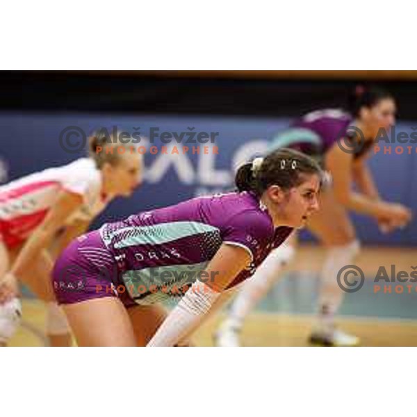 in action during Sportklub 1A DOL league volleyball match between Calcit Volley and Nova KBM Branik in Kamnik, Slovenia on October 20, 2023