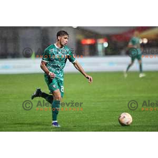 Nemanja Motika in action during Prva Liga Telemach 2023/2024 football match between Domzale and Olimpija in Domzale, Slovenia on October 21, 2023. Foto: Filip Barbalic