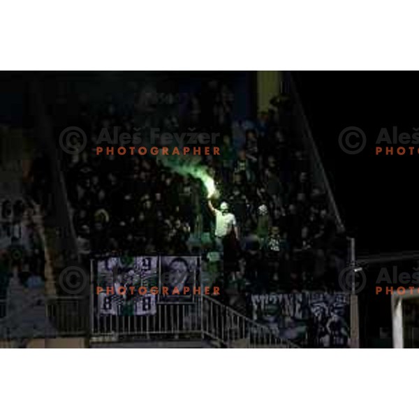 Green Dragons Ljubljana in action during Prva Liga Telemach 2023/2024 football match between Domzale and Olimpija in Domzale, Slovenia on October 21, 2023. Foto: Filip Barbalic