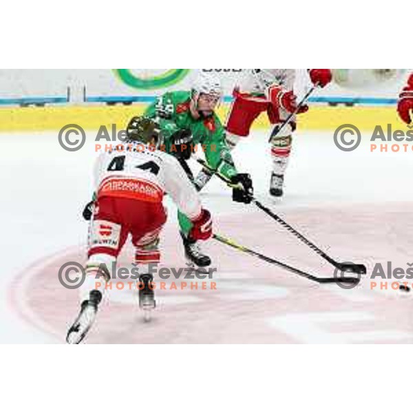 in action during IceHL match between SZ Olimpija and Sudtirol Alperia in Tivoli Hall, Ljubljana, Slovenia on October 22, 2023