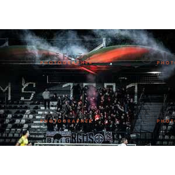 Black Gringos during Prva liga Telemach football match between Mura and Koper in Fazanerija, Murska Sobota, Slovenia on October 22, 2023. Photo: Jure Banfi