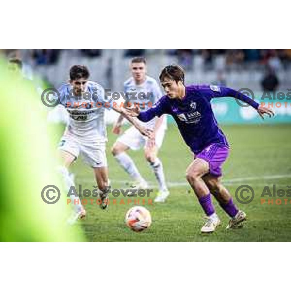 Itsuki Urata in action during Prva liga Telemach football match between Maribor and Celje in Ljudski vrt, Maribor, Slovenia on November 12, 2023. Photo: Jure Banfi