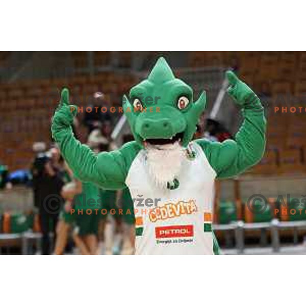 in action during ABA League 2023-2024 regular season basketball match between Cedevita Olimpija and Krka in Ljubljana, Slovenia on December 16, 2023. Foto: Filip Barbalic