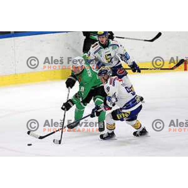 In action during IceHL match between SZ Olimpija and VSV in Tivoli Hall, Ljubljana, Slovenia on January 12, 2024