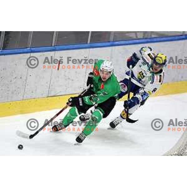 Bine Masic in action during IceHL match between SZ Olimpija and VSV in Tivoli Hall, Ljubljana, Slovenia on January 12, 2024 
