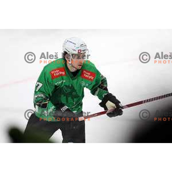 Bine Masic in action during IceHL match between SZ Olimpija and VSV in Tivoli Hall, Ljubljana, Slovenia on January 12, 2024 