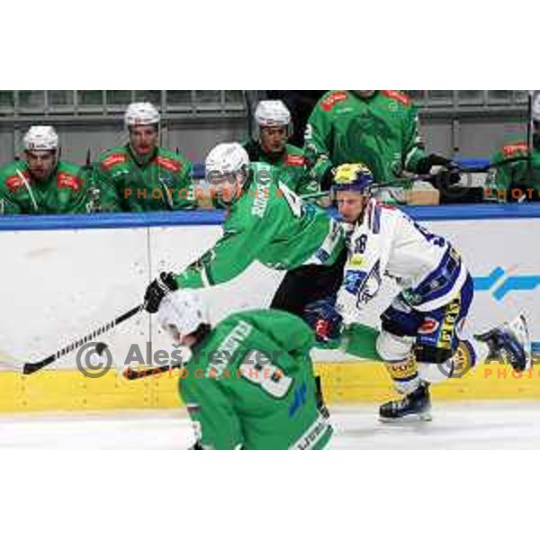 Blaz Tomazevic in action during IceHL match between SZ Olimpija and VSV in Tivoli Hall, Ljubljana, Slovenia on January 12, 2024 
