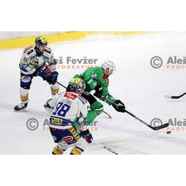 In action during IceHL match between SZ Olimpija and VSV in Tivoli Hall, Ljubljana, Slovenia on January 12, 2024