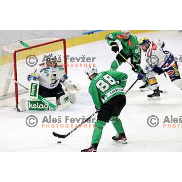 Miha Zajc in action during IceHL match between SZ Olimpija and VSV in Tivoli Hall, Ljubljana, Slovenia on January 12, 2024