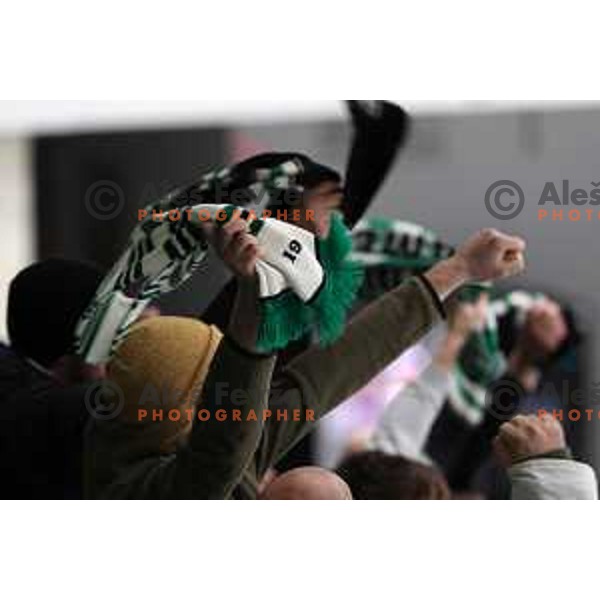 In action during IceHL match between SZ Olimpija and VSV in Tivoli Hall, Ljubljana, Slovenia on January 12, 2024