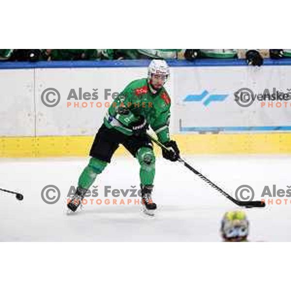 In action during IceHL match between SZ Olimpija and VSV in Tivoli Hall, Ljubljana, Slovenia on January 12, 2024