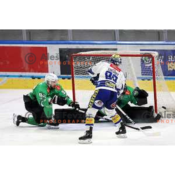 In action during IceHL match between SZ Olimpija and VSV in Tivoli Hall, Ljubljana, Slovenia on January 12, 2024