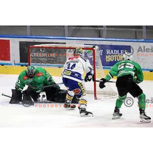 In action during IceHL match between SZ Olimpija and VSV in Tivoli Hall, Ljubljana, Slovenia on January 12, 2024