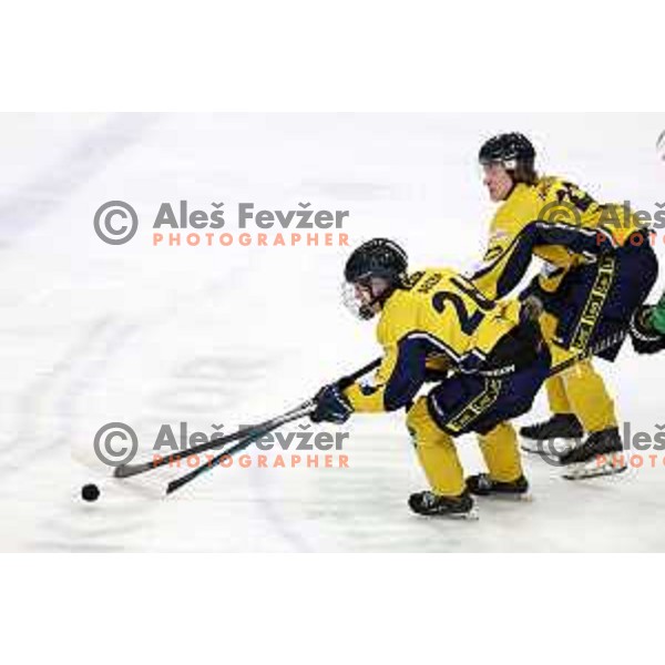 In action during Slovenian Championships ice-hockey match between SZ Olimpija and Celje RST Pellet in Ljubljana, Slovenia on January 16, 2024