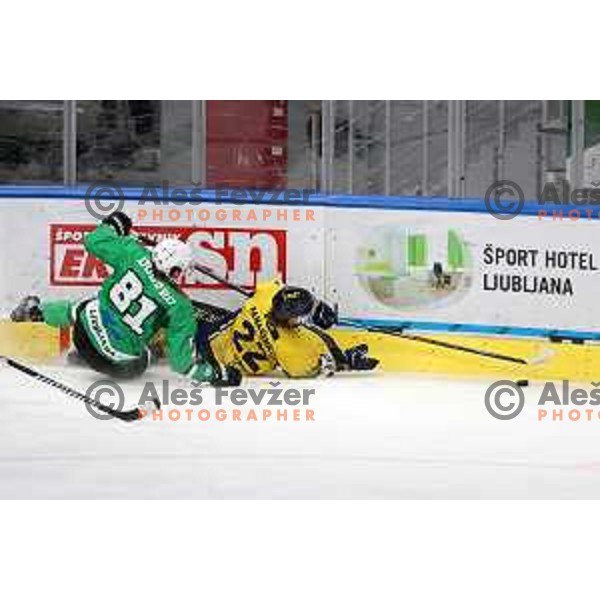 In action during Slovenian Championships ice-hockey match between SZ Olimpija and Celje RST Pellet in Ljubljana, Slovenia on January 16, 2024