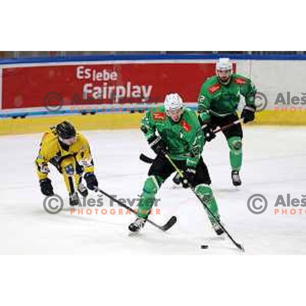 In action during Slovenian Championships ice-hockey match between SZ Olimpija and Celje RST Pellet in Ljubljana, Slovenia on January 16, 2024