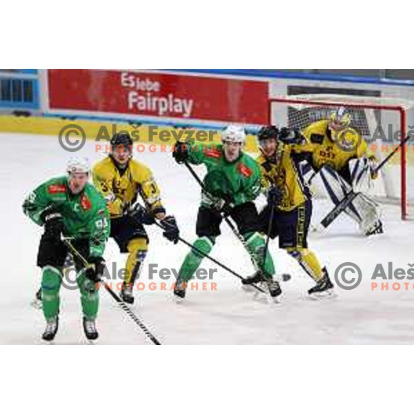 In action during Slovenian Championships ice-hockey match between SZ Olimpija and Celje RST Pellet in Ljubljana, Slovenia on January 16, 2024