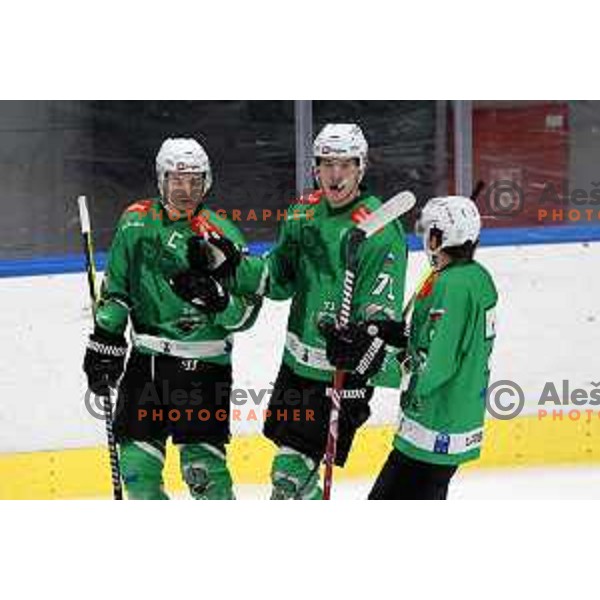 In action during Slovenian Championships ice-hockey match between SZ Olimpija and Celje RST Pellet in Ljubljana, Slovenia on January 16, 2024