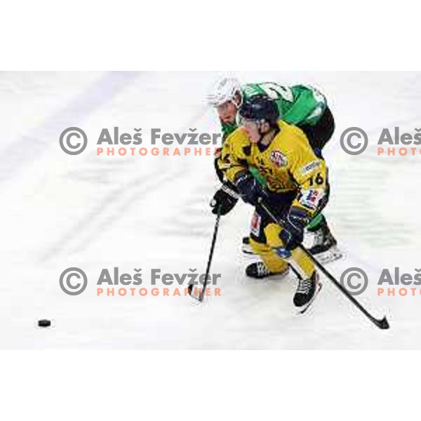 In action during Slovenian Championships ice-hockey match between SZ Olimpija and Celje RST Pellet in Ljubljana, Slovenia on January 16, 2024