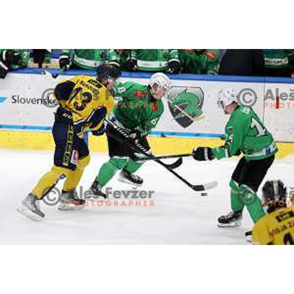 In action during Slovenian Championships ice-hockey match between SZ Olimpija and Celje RST Pellet in Ljubljana, Slovenia on January 16, 2024