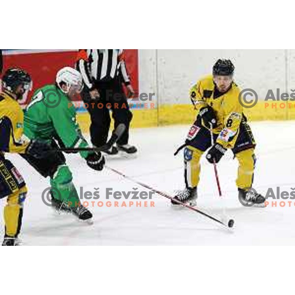 In action during Slovenian Championships ice-hockey match between SZ Olimpija and Celje RST Pellet in Ljubljana, Slovenia on January 16, 2024