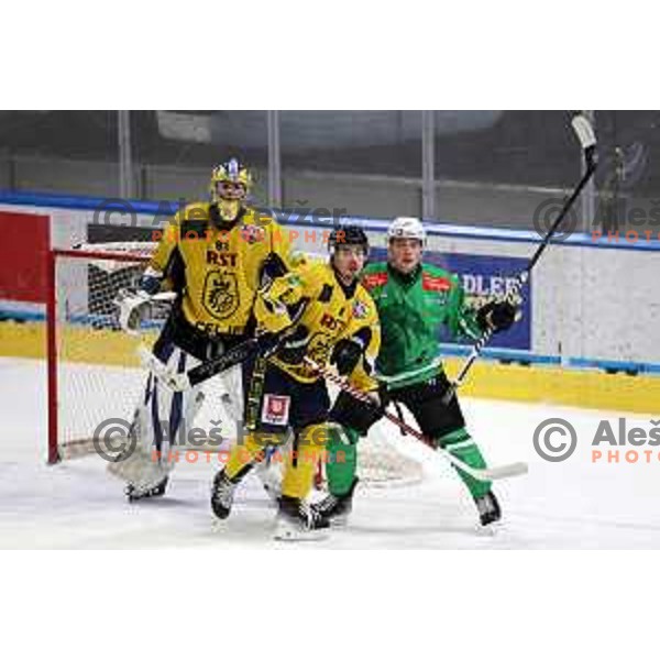 In action during Slovenian Championships ice-hockey match between SZ Olimpija and Celje RST Pellet in Ljubljana, Slovenia on January 16, 2024