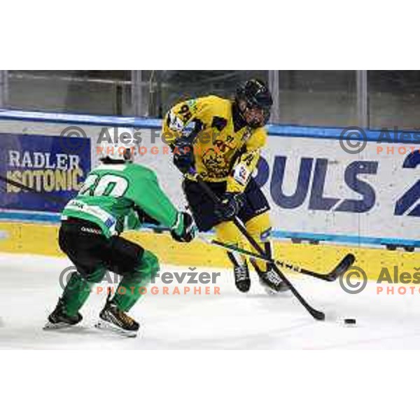 In action during Slovenian Championships ice-hockey match between SZ Olimpija and Celje RST Pellet in Ljubljana, Slovenia on January 16, 2024