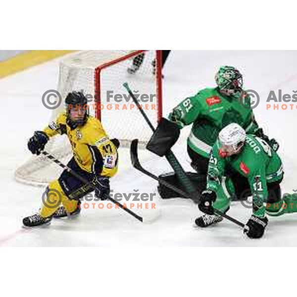 In action during Slovenian Championships ice-hockey match between SZ Olimpija and Celje RST Pellet in Ljubljana, Slovenia on January 16, 2024