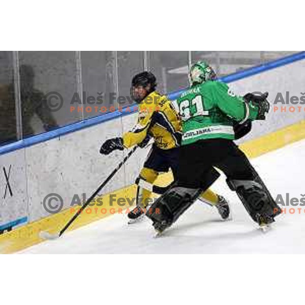 In action during Slovenian Championships ice-hockey match between SZ Olimpija and Celje RST Pellet in Ljubljana, Slovenia on January 16, 2024
