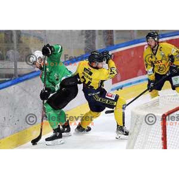 In action during Slovenian Championships ice-hockey match between SZ Olimpija and Celje RST Pellet in Ljubljana, Slovenia on January 16, 2024