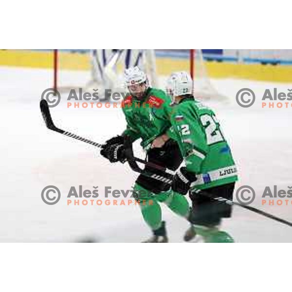 In action during Slovenian Championships ice-hockey match between SZ Olimpija and Celje RST Pellet in Ljubljana, Slovenia on January 16, 2024