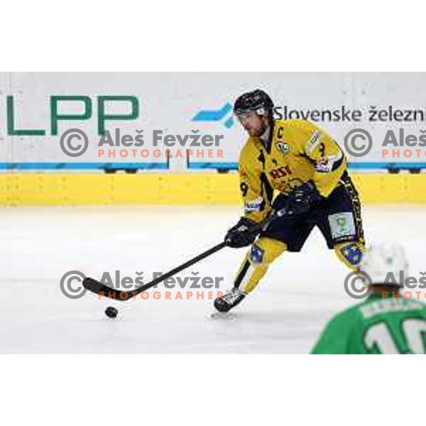Jure Sotlar in action during Slovenian Championships ice-hockey match between SZ Olimpija and Celje RST Pellet in Ljubljana, Slovenia on January 16, 2024