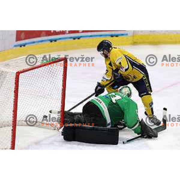 Jure Sotlar in action during Slovenian Championships ice-hockey match between SZ Olimpija and Celje RST Pellet in Ljubljana, Slovenia on January 16, 2024